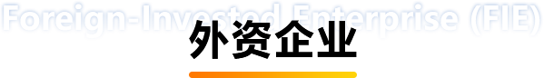 外资企业